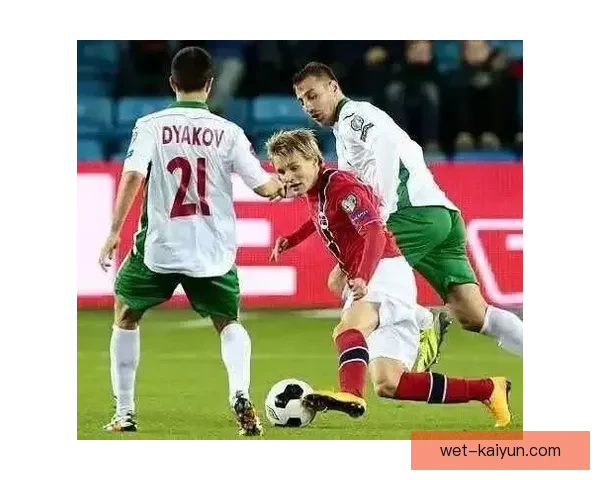 奥德加德在欧洲杯中的表现数据展现出持续提升的竞争力